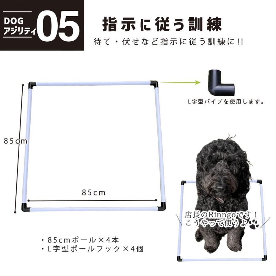 犬用　小型犬　ドッグアジリティ　５点セット 楽天市場】ドッグアジリティ トレーニング 5点セット 練習用