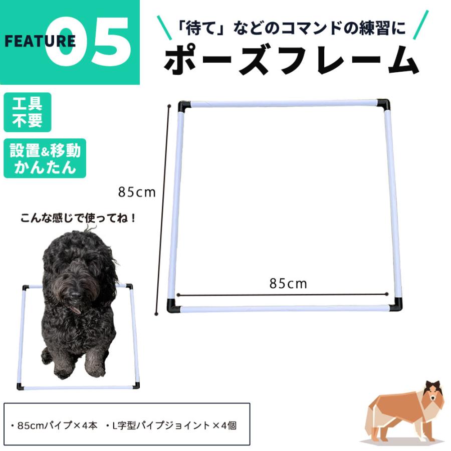 ドッグアジリティ トレーニング 5点セット 練習用 トンネル ジャンプ