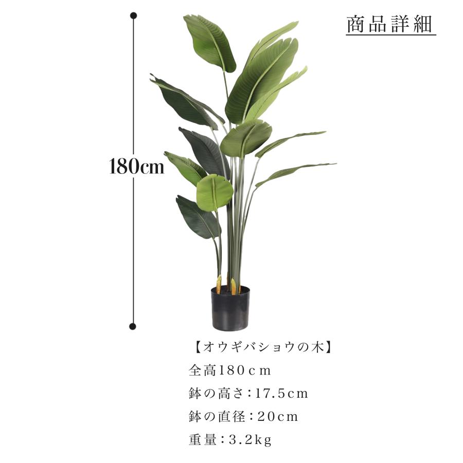 フェイクグリーン 観葉植物 リアル 人工観葉植物 高さ180cm オウギ
