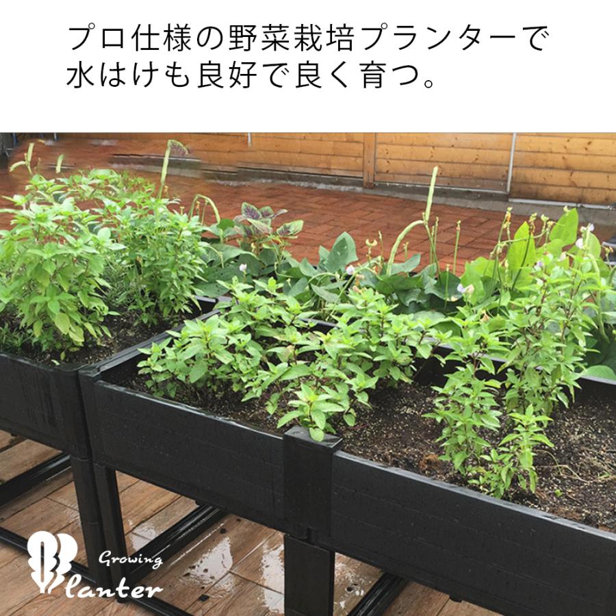 プランター 高床式菜園 野菜栽培用プランター 野菜植え付けボックス