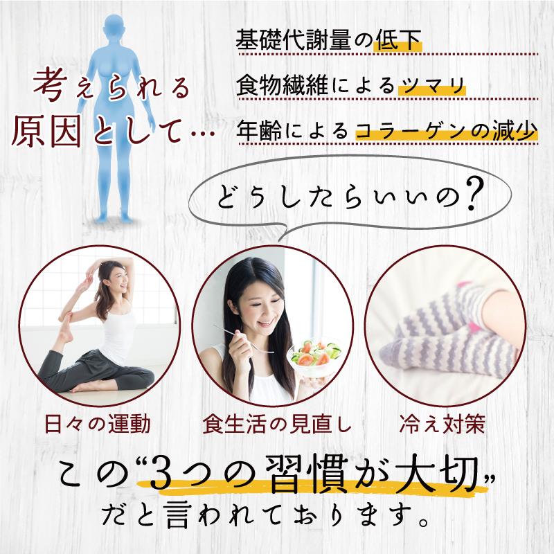 ダイエット 食品 エレガントライフコーヒー 30包入×2（60杯分）１杯あたり152円　コーヒー　難消化性デキストリン　食物繊維　【爆買】 |  | 03