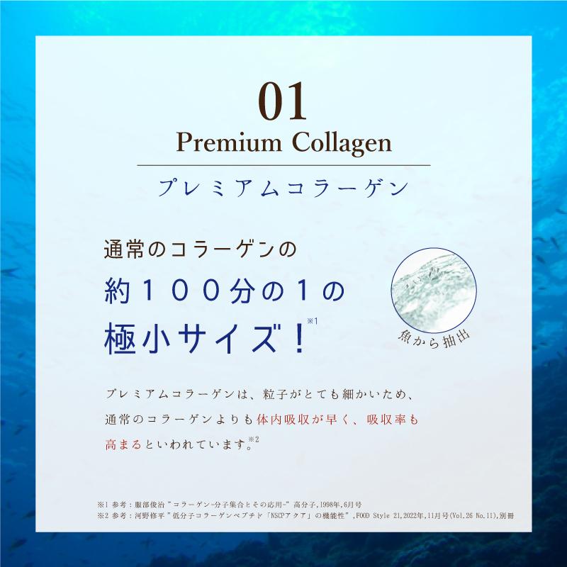 アンベリール・ミルクティー 30包入 コラーゲン プラセンタ プロテオグリカン 難消化性デキストリン 食物繊維 ダイエット 爆買 |  | 06