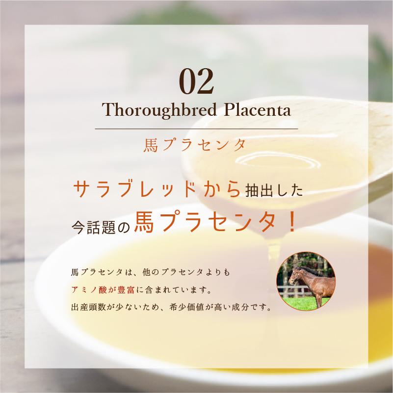 アンベリール・ミルクティー 30包入 コラーゲン プラセンタ プロテオグリカン 難消化性デキストリン 食物繊維 ダイエット |  | 07