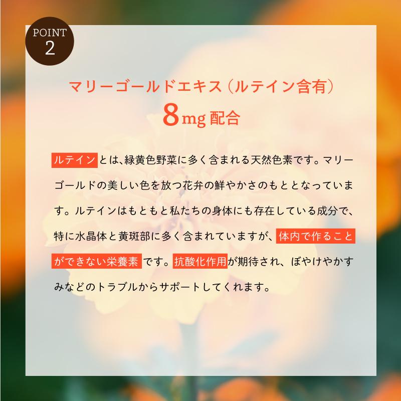 お試し ブルーベリー・カプセル 30粒 お一人様3袋まで　メール便送料無料｜milltomo｜05