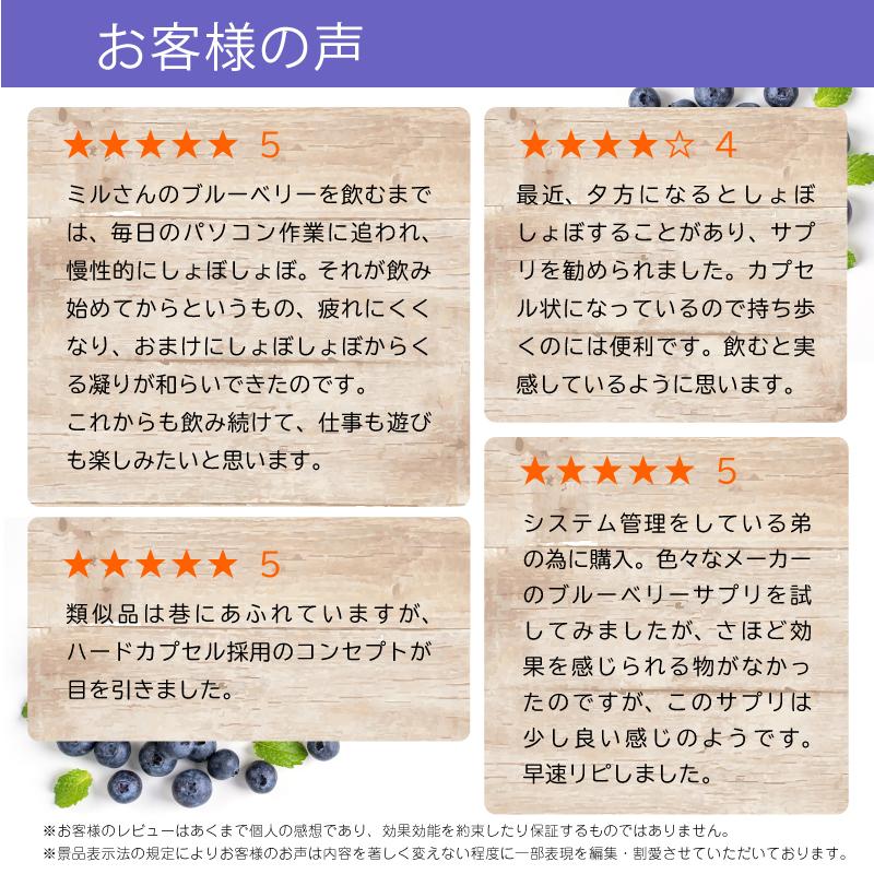 お試し ブルーベリー・カプセル 30粒 お一人様3袋まで　メール便送料無料 |  | 06