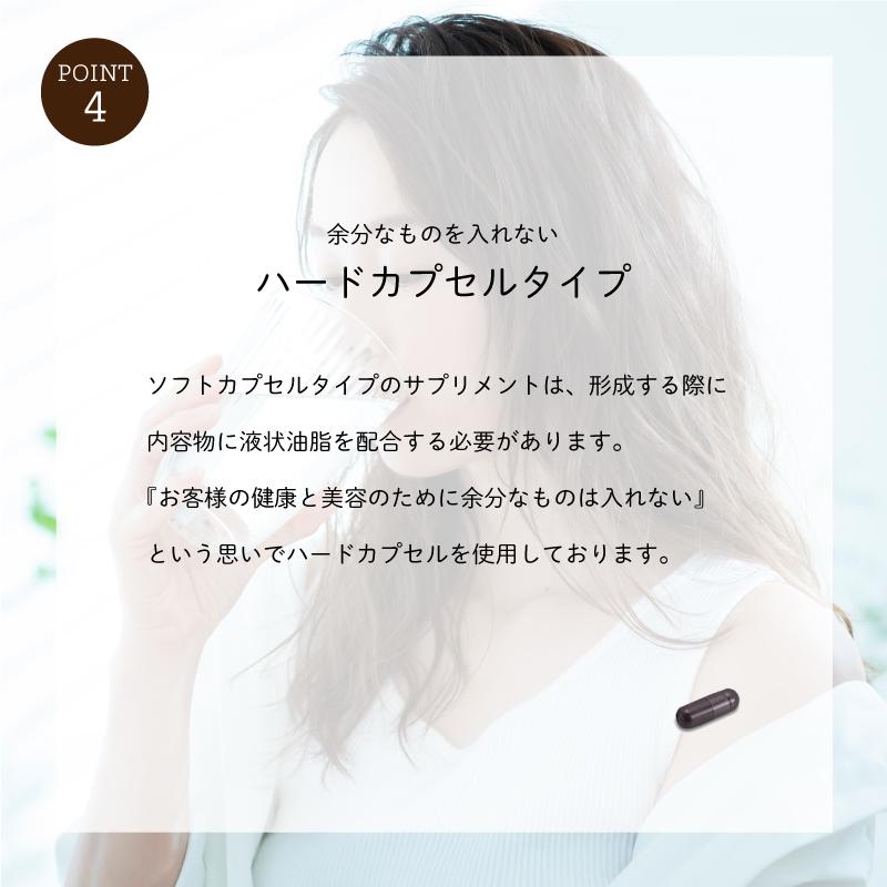 お試し ブルーベリー・カプセル 30粒 お一人様3袋まで　メール便送料無料 |  | 07