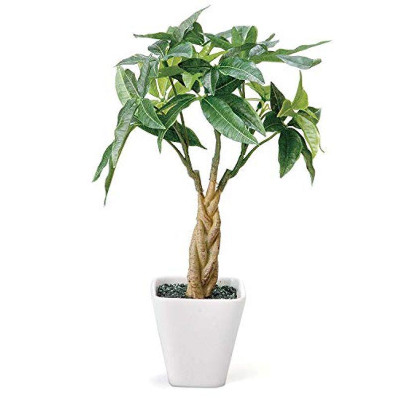 はこぽす対応商品 インテリアグリーン ケーアイジャパン 造花 ポット スクエア 陶器 白 27cm 全長 パキラ Ku フェイクグリーン 光触媒 観葉植物 鉢 プランターカバー Www Vke Apeldoorn Nl