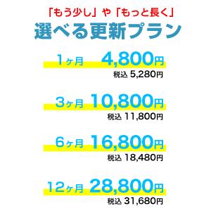超小型GPS発信機30日間通信費込み 追跡 浮気 gps トラッカー  車 盗難対策 |  | 12