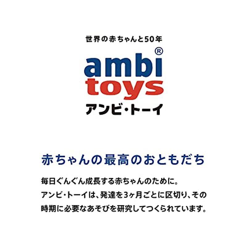 熱い販売 ボーネルンド アンビトーイ ( ambi toys ) ベビーギフトセット 5種セット 3ヶ月頃から AM31070J