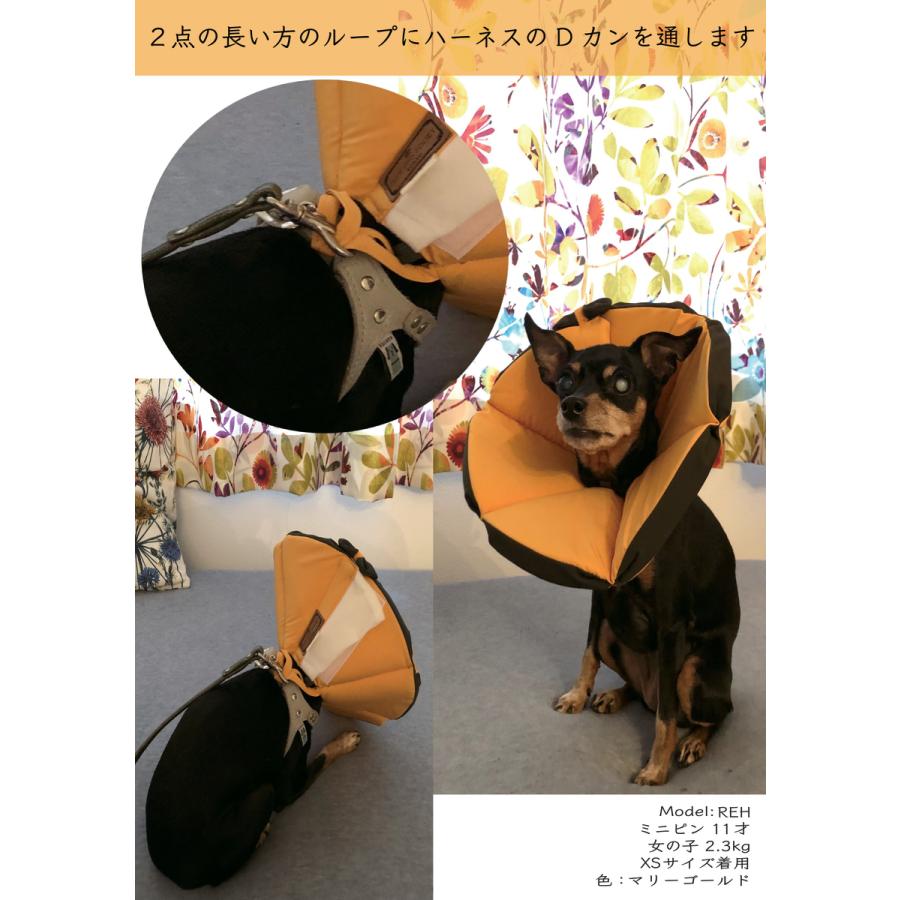 エリザベスカラー M 洗える ソフト 犬 エリカラ 小型犬 猫 通販でクリスマス ペット 軽い 柔らかい 手術 ケガ 炎症 避妊 掻き 白内障 舐め 去勢 老犬 軽量 盲目 病気 術後