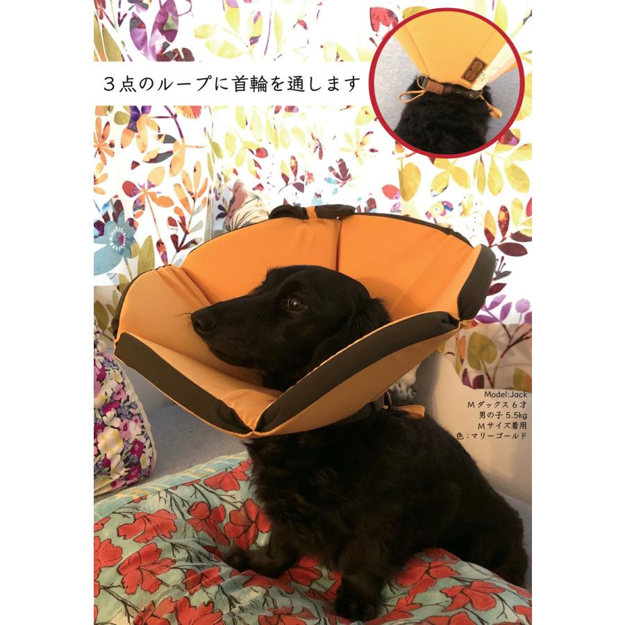 エリザベスカラー M 洗える ソフト 犬 エリカラ 小型犬 猫 通販でクリスマス ペット 軽い 柔らかい 手術 ケガ 炎症 避妊 掻き 白内障 舐め 去勢 老犬 軽量 盲目 病気 術後