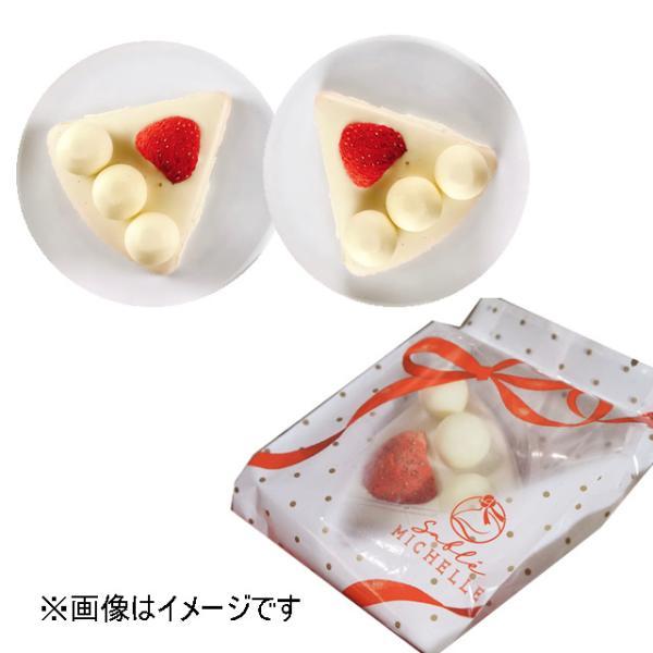 サブレミシェル ケーキサブレ バッグタイプ（2個入）※のし・包装不可