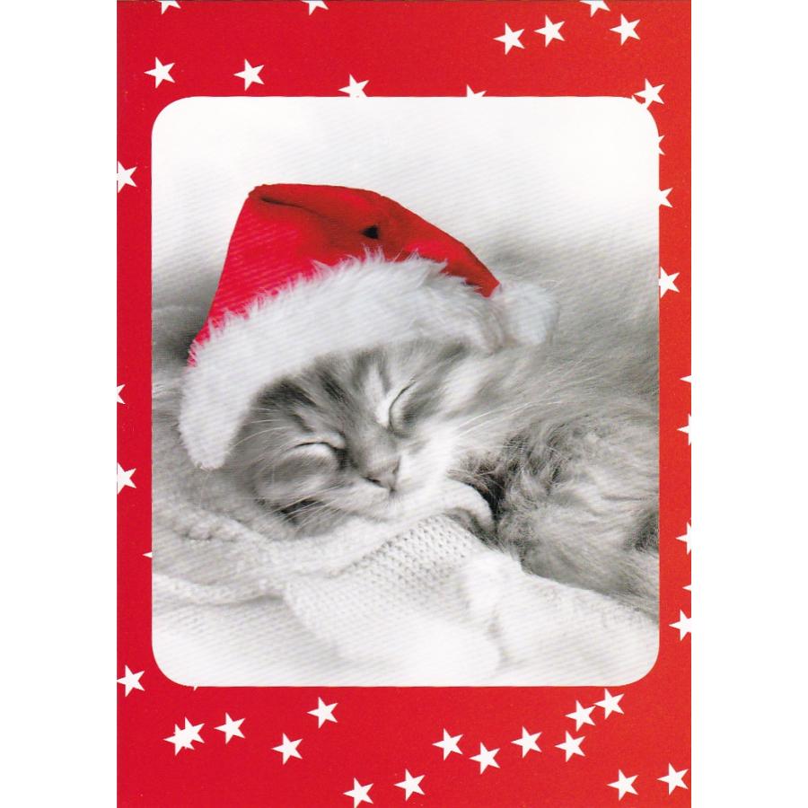 猫のクリスマスカード ミューイー リトル クリスマス Crc 0018 猫雑貨mimikobo 通販 Yahoo ショッピング