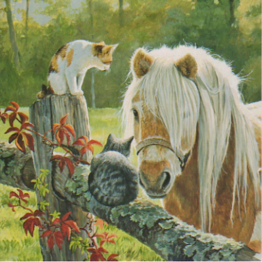 猫と馬のバースデーカード パーシス クレイトン ウエアース ポニーと猫 Pwl 猫雑貨mimikobo 通販 Yahoo ショッピング