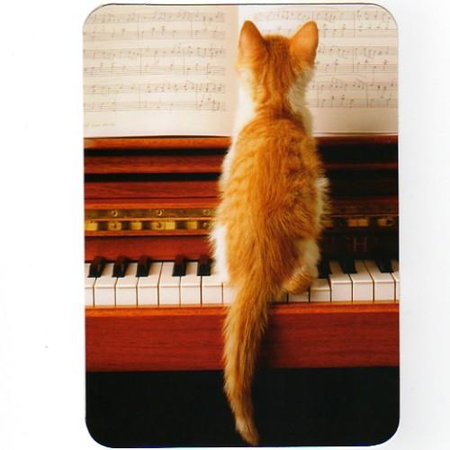 最大89%OFFクーポン 海外輸入 猫のサンクスカード ピアノの上の猫