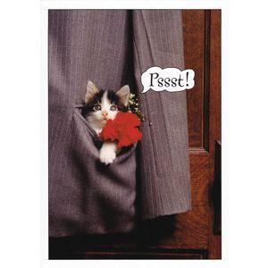 猫の父の日カード スーツのポケット 高品質の人気 7周年記念イベントが