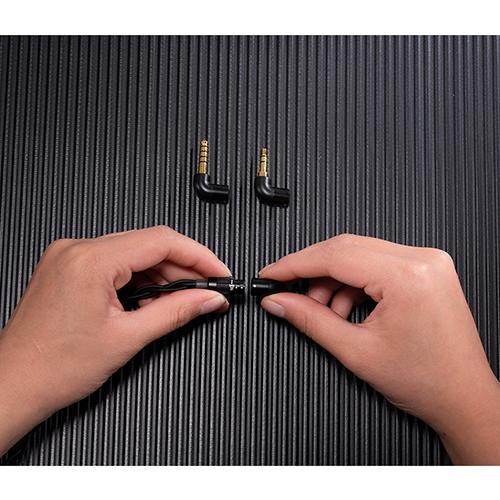 Tin HiFi P2 Plus Commemrative Editionの画像