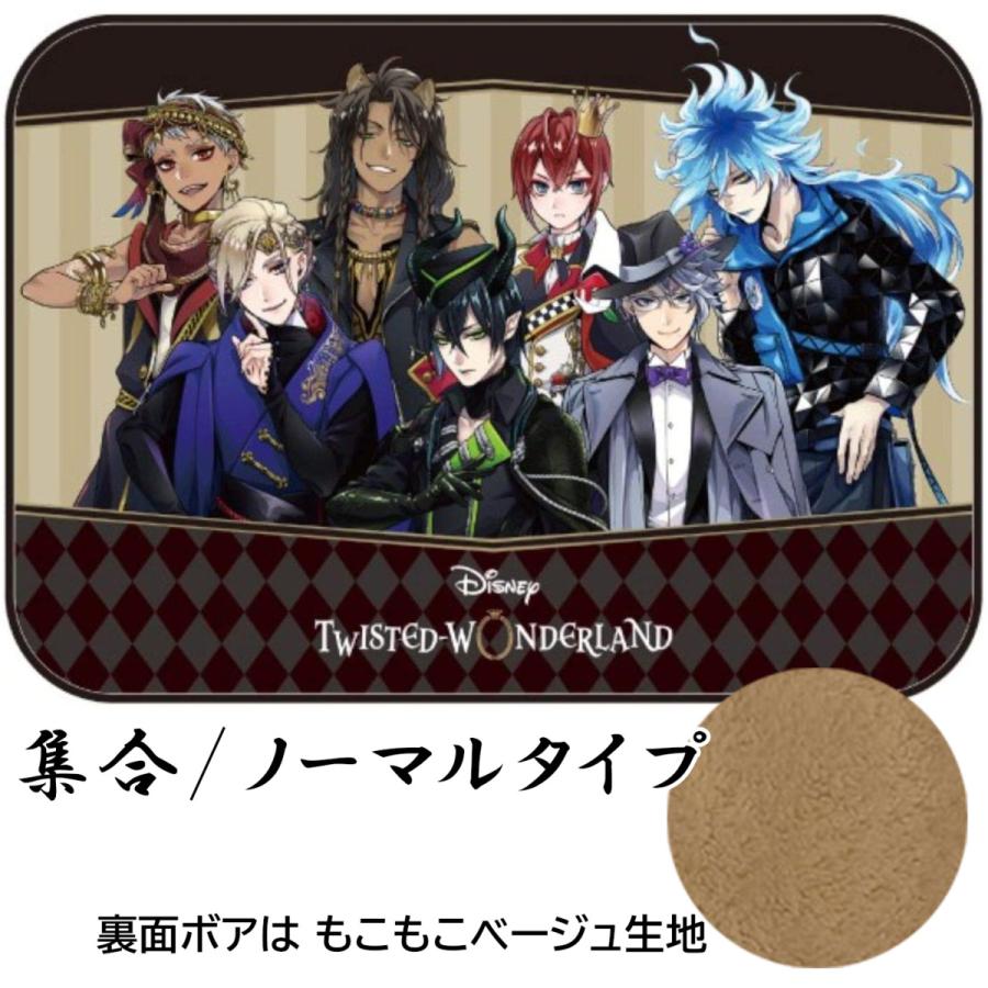 在庫限り ディズニー ツイステッドワンダーランド ブランケット ひざ掛け ツイステ ふわもこブランケット あったかグッズ ボアブランケット Ns Mimiy 通販 Yahoo ショッピング