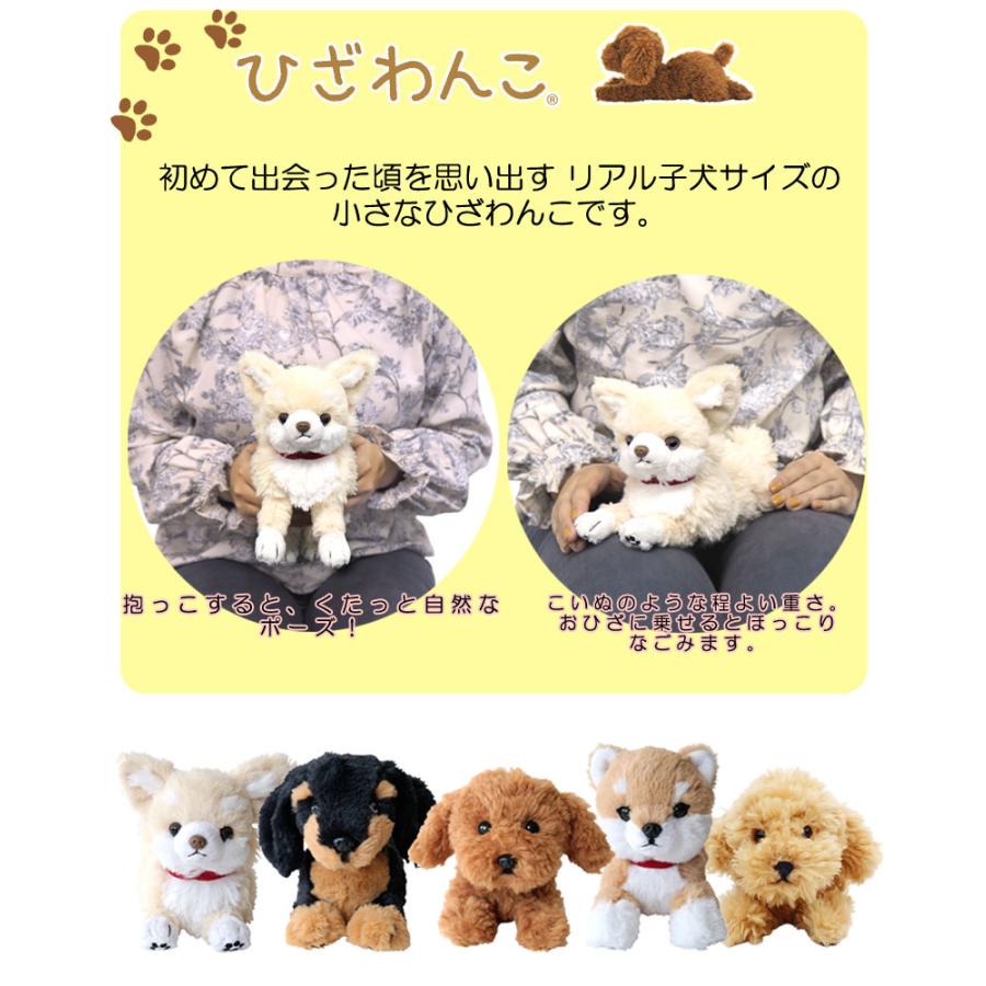 Sunlemon（サンレモン） ひざわんこSS ぬいぐるみ いぬ 犬 おもちゃ