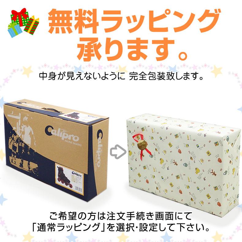 送料無料 24cm〜27cmサイズ調整可能 インラインスケート CA9000G