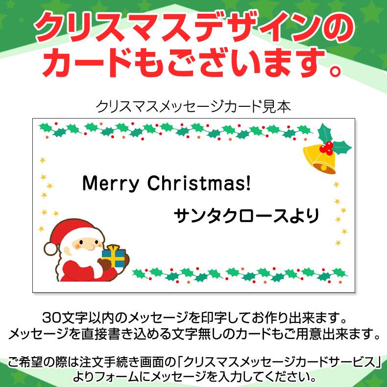 送料無料 24cm〜27cmサイズ調整可能 インラインスケート CA9000G 送料無料 24cm〜27cmサイズ調整可能 インラインスケート CA9000G
