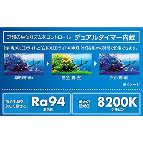 テトラ 生き物 生体 Tetra ライト 水槽 パワーledプレミアム30 ライト アクアリウム 金魚 水草育成 Shop 金魚 熱帯魚 Mimomamo メダカ M2144fc15dd 高級品市場