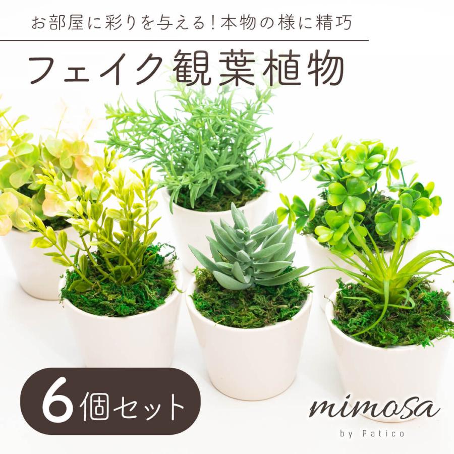 フェイクグリーン 観葉植物 6個セット 人工観葉植物 ユーカリ ボックスウッド チランジア ローズマリー