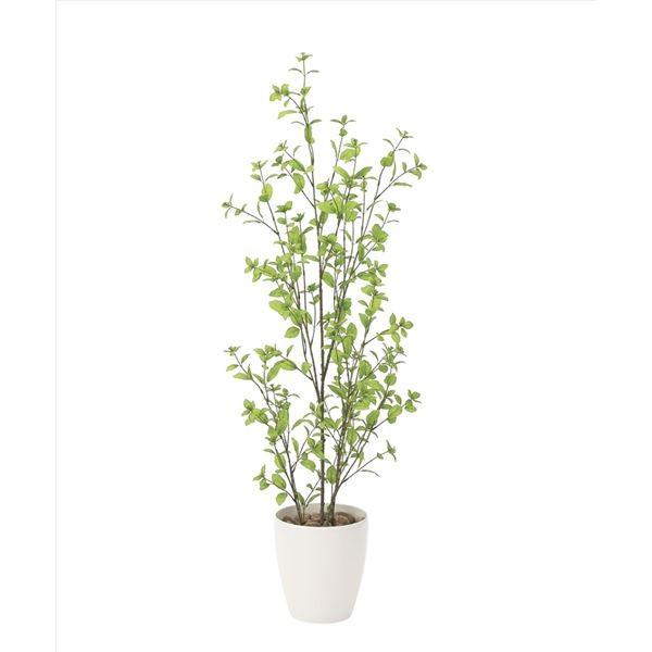最終値下げ ポイント15倍観葉植物 フェイクグリーン ユーカリ 1 3m 日本製 光触媒 消臭 抗菌 ホルムアルデヒド対策 光の楽園 リビング 代引不可 送料無料 メーカー包装済 Www Maxipiso Com Ar