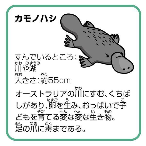 即納 最大半額 ポイント15倍 まとめ 変ないきものパズル セット 送料無料 Ds Mina Va Select Shop 通販 Yahoo ショッピング 豪華 Missbargainhuntress Com