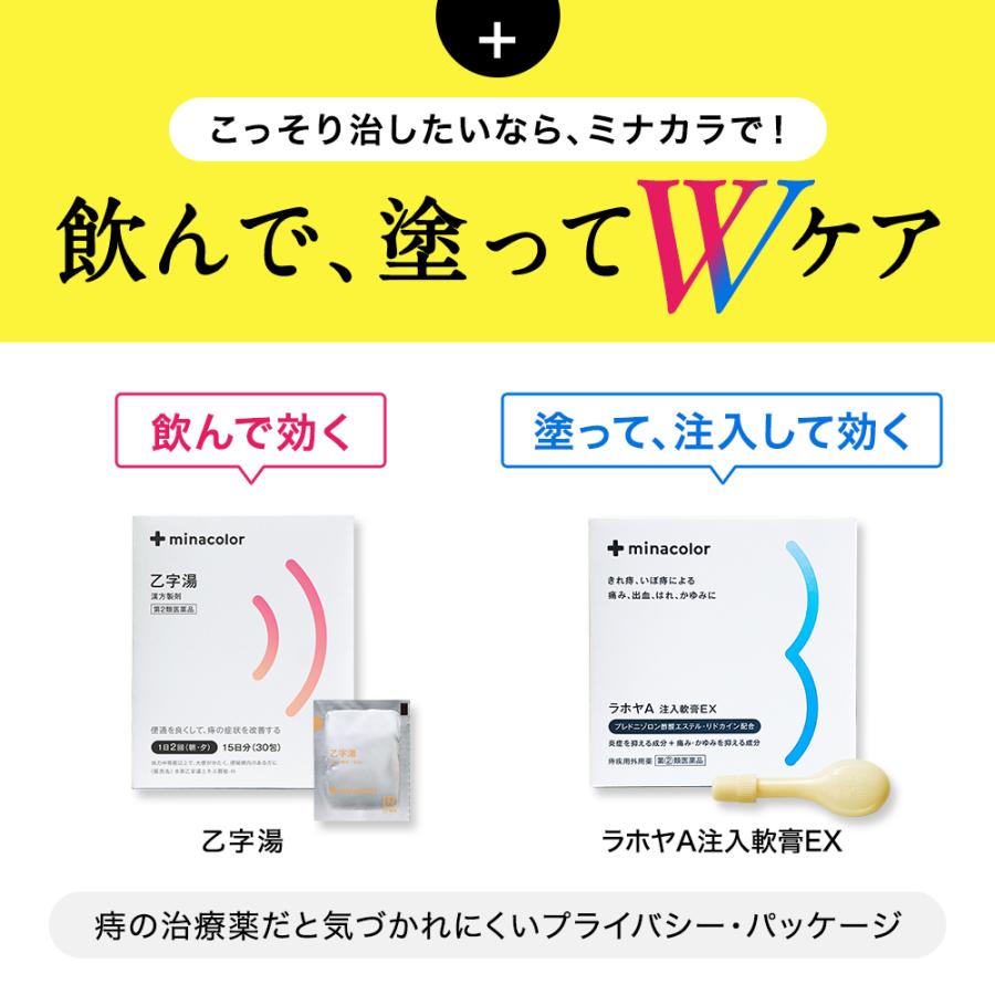 痔疾用薬 ラホヤA注入軟膏EX 2g×30個 いぼ痔の痛み きれ痔 痔の薬 痔軟膏 市販薬 ミナカラ 【指定第2類医薬品】｜minacolor2｜09