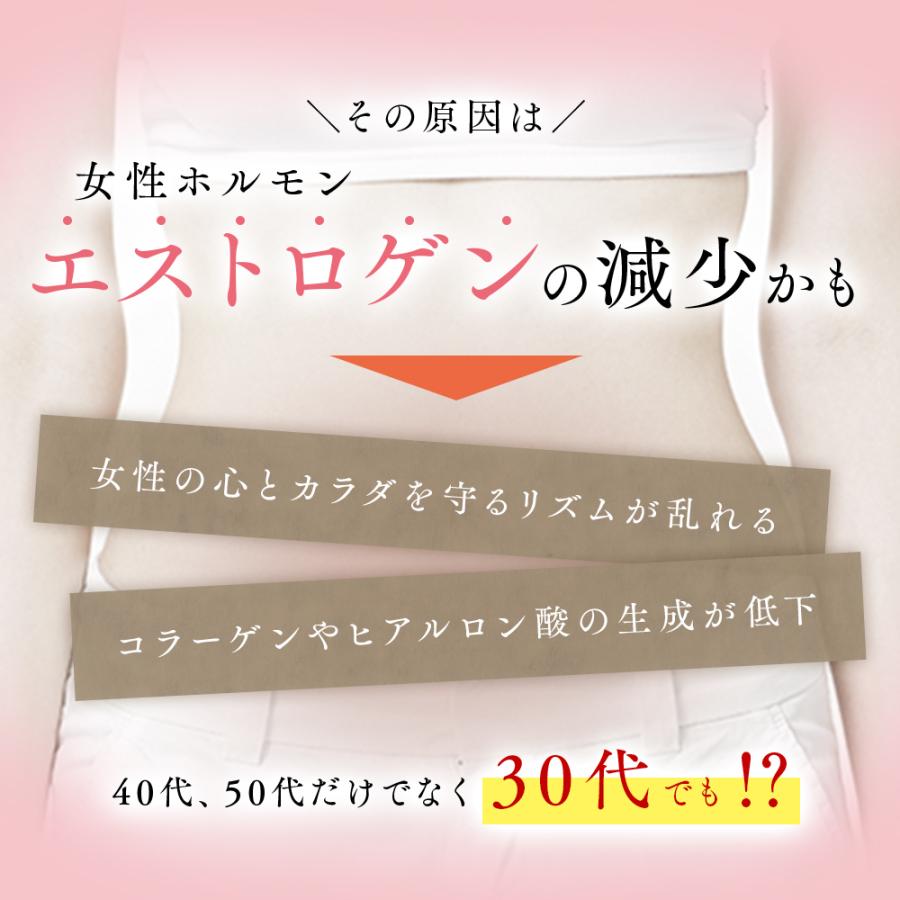 イソフラボンサプリ ソイメロボーテエクラ 60粒 エクオール産生サポート アグリコン型大豆イソフラボン コラーゲン コエンザイムQ10 GABA｜minacolor｜03