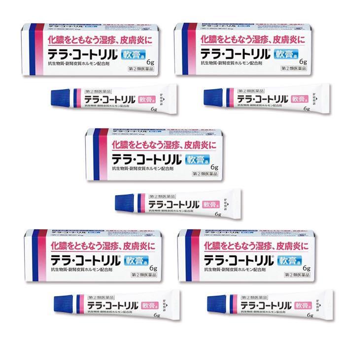 ホットセール 第 2 類医薬品 テラ コートリル軟膏a 6g メール便 送料込 代引 日時 時間 同梱は不可 Riosmauricio Com