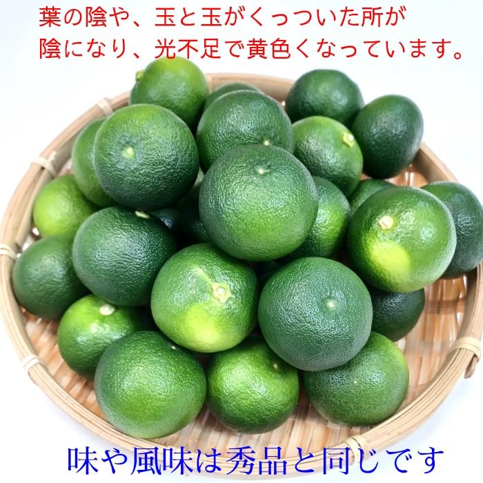 すだち 徳島産 訳あり品 1kg入り 送料無料 大きさ不揃い 色付きあり