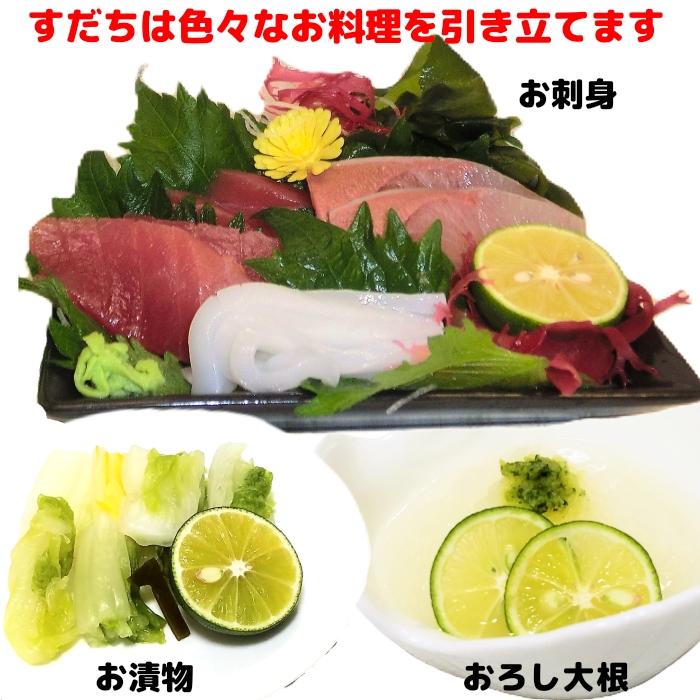 すだち 徳島産（8〜10個入 2パック) ハウス スダチ 送料無料