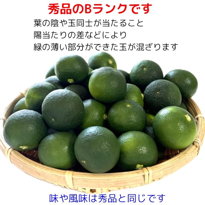 すだち 業務用 1kg袋入 秀品B 2Lサイズ 40玉前後 ハウス スダチ 