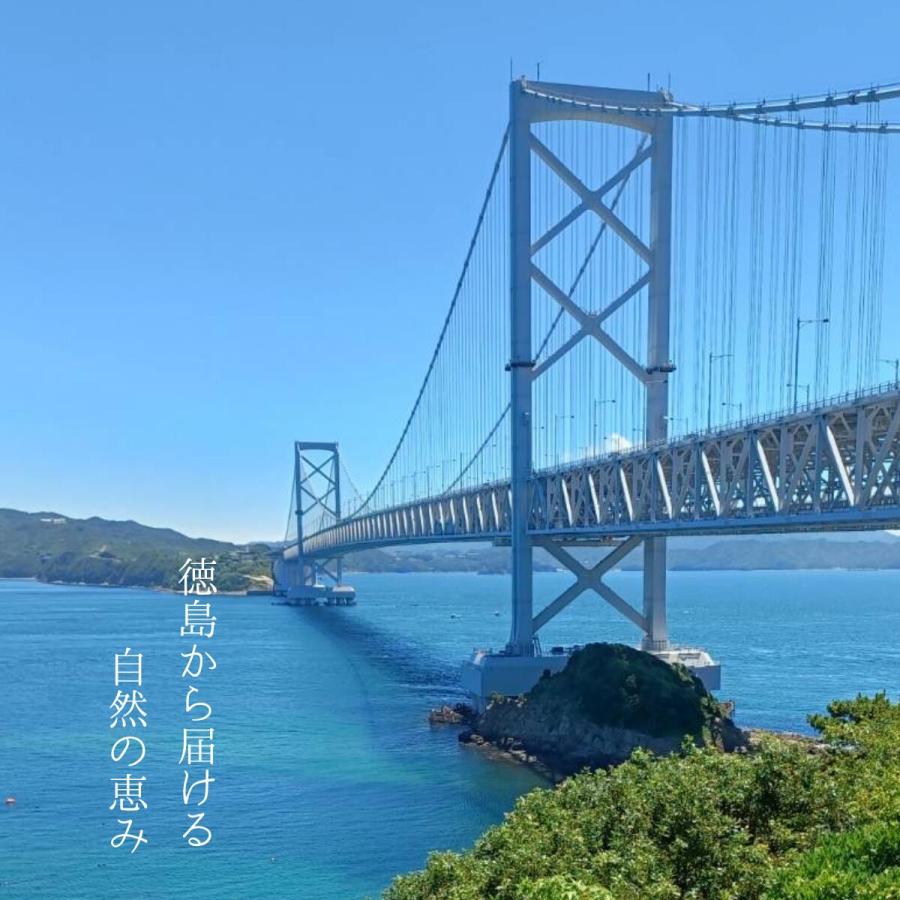 （クール便送料無料）阿波の恵み ギフトセット  【鳴門産 カットわかめ 150g×２・海藻サラダ 250g×2・すだち 11個】塩蔵カットわかめ 塩蔵海藻サラダ |  | 09
