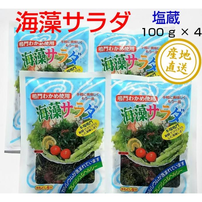 正規品販売 海藻サラダ 100g 4袋セット 鳴門わかめ使用 塩蔵 水戻し簡単 Wantannas Go Id