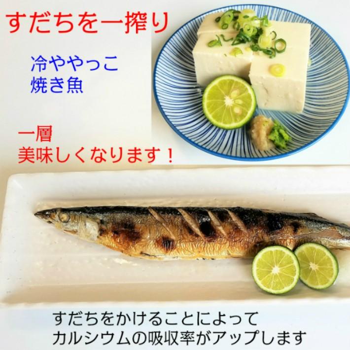すだち 徳島産 秀品2L 1kg入り箱 冷蔵物 スダチ 無料ラッピング・熨斗