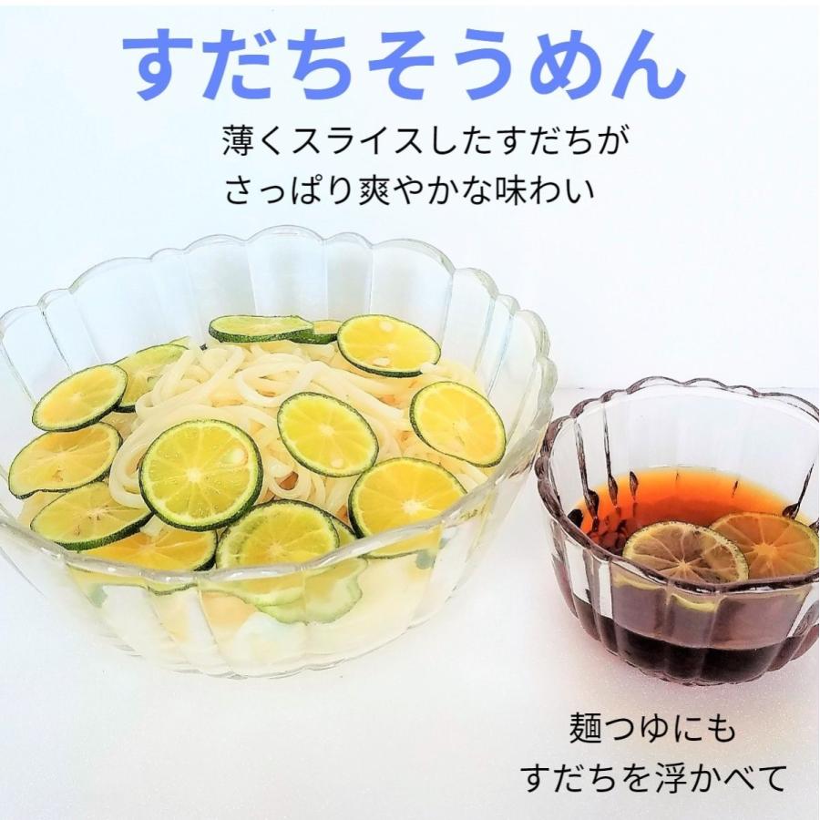 種無しすだち　徳島産　秀品3L　9kg（箱込み10kg） 在庫セール 徳島県産 JA全農とくしま すだち 秀品 2Lサイズ 約1キロ 40個前後 送料