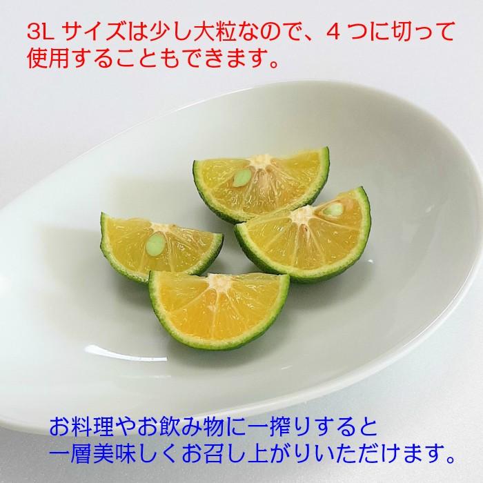 すだち 徳島産 秀品 2L〜3L 送料無料 1kg入り箱 ハウス物 スダチ 無料