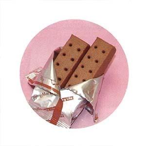 カロリーメイト ロングライフ チョコレート味 2本入り×60箱 カロリーメイト ロングライフ チョコレート味 2本入り×60箱