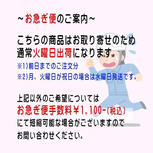 消防標識 「蓄電池設備」 横 サイズ：300×450 材質：硬質樹脂製