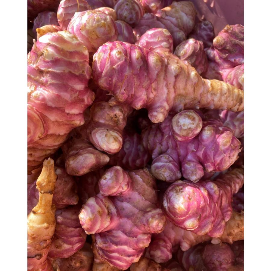 農家直送!農家が作る里山育ちの無農薬フランス菊芋パウダー50g 農家直送!農家が作る里山育ちの無農薬フランス菊芋パウダー50g