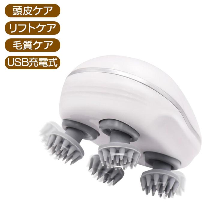 ピュアスカルプケア USB充電式 T4573480762080 電動 頭皮ケア
