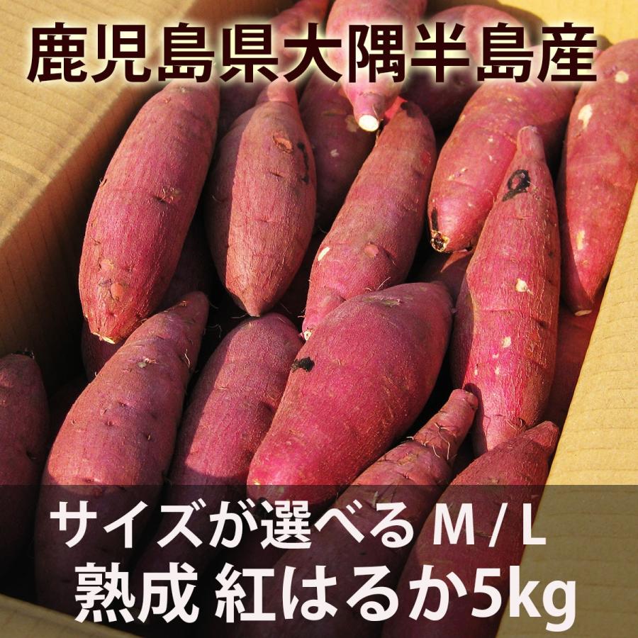 鹿児島のさつまいも「紅はるか」５kg サイズが選べる M・L・２Ｌ  熟成 べにはるか｜minami-farm