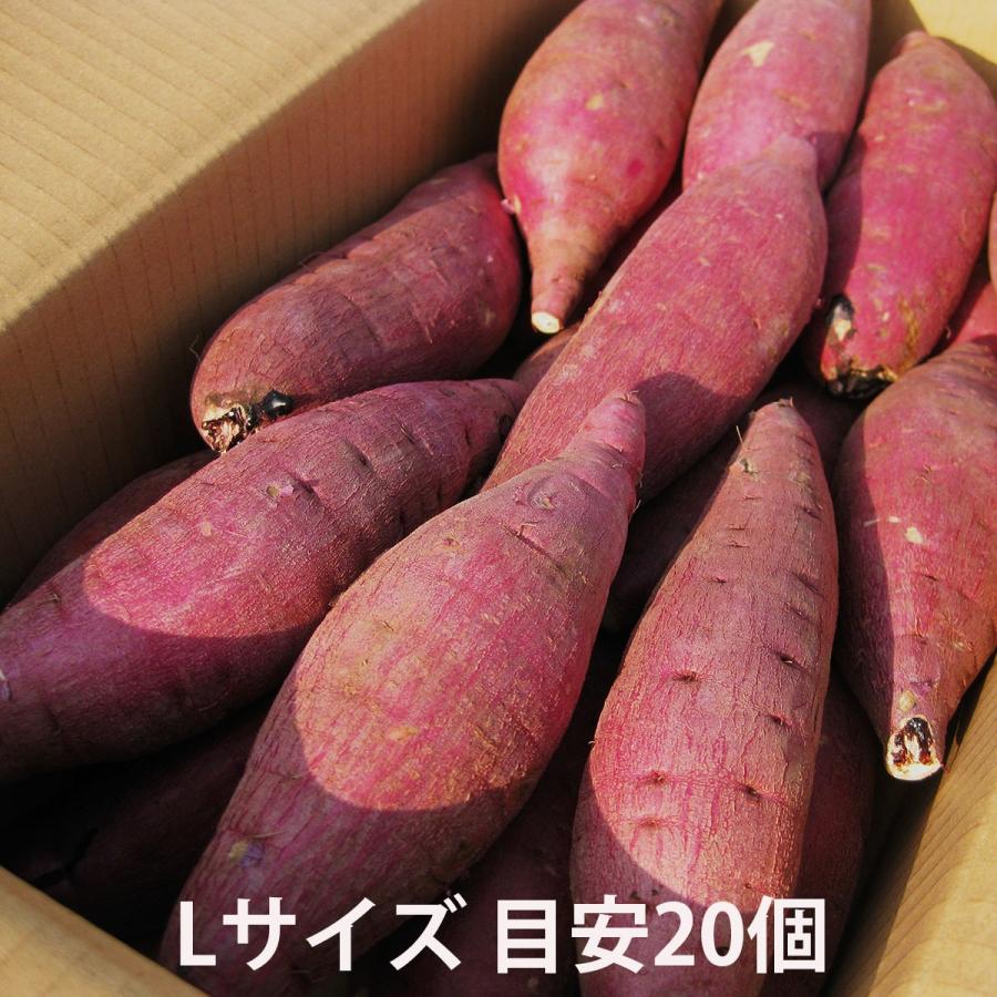 鹿児島のさつまいも「紅はるか」５kg サイズが選べる M・L・２Ｌ  熟成 べにはるか｜minami-farm｜02