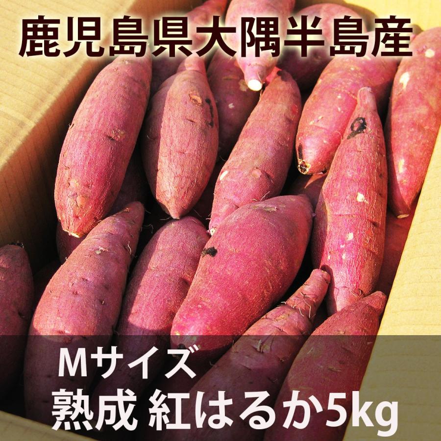 鹿児島のさつまいも「べにはるか」５kg Ｍサイズ   熟成 紅はるか｜minami-farm