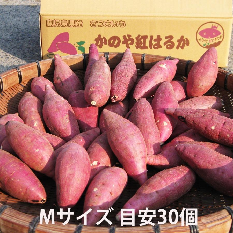 鹿児島のさつまいも「べにはるか」５kg Ｍサイズ   熟成 紅はるか｜minami-farm｜02