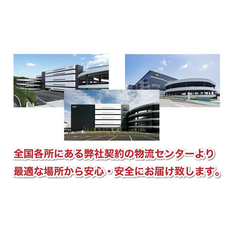 簡易軽量コンパクト800g 軽重量運搬用 マイティハンドキャリー