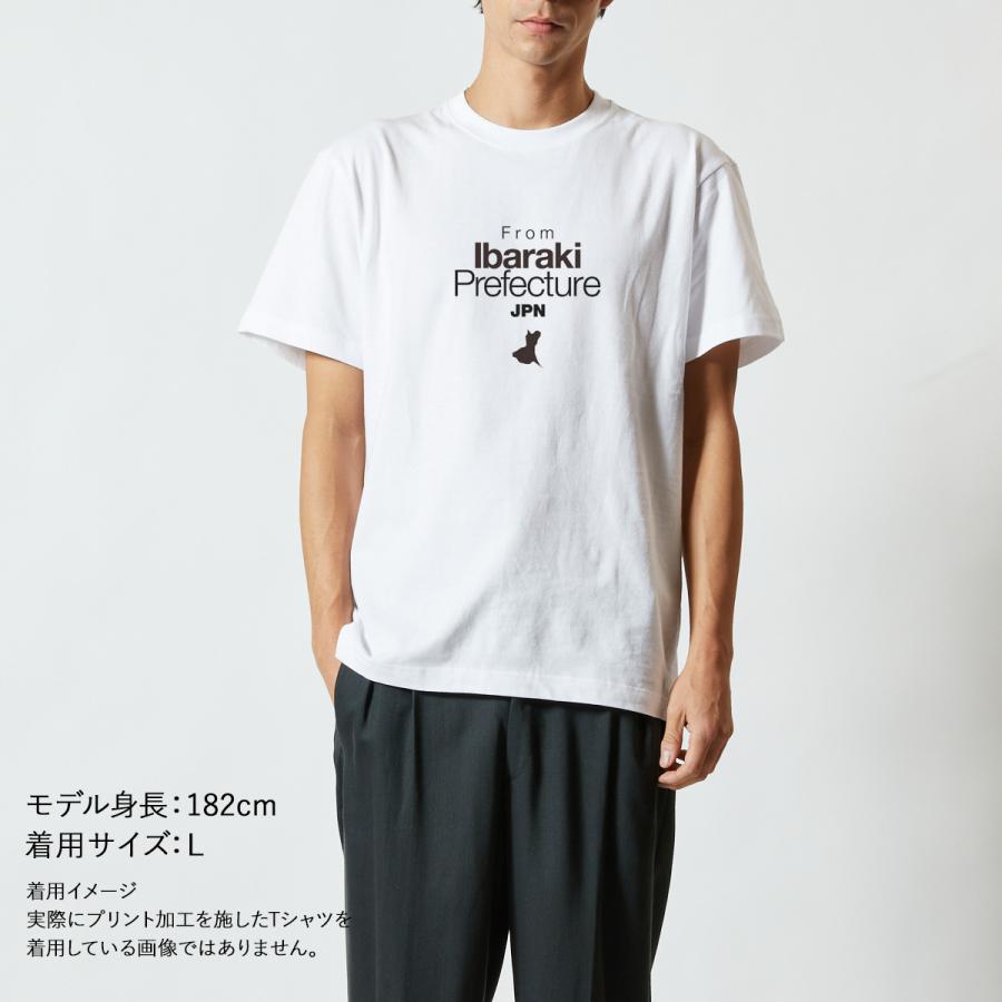 おもしろｔシャツ メンズ レディース キッズ 面白 茨城県出身 IBARAKI 47都道府県 出身県 秘密のケンミンSHOW？ 文字 ジョーク半袖Tシャツ 90cm｜minamihorie｜04